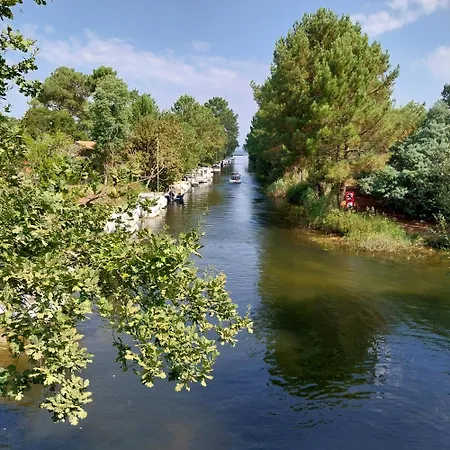 مكان تخييم Julieregis *