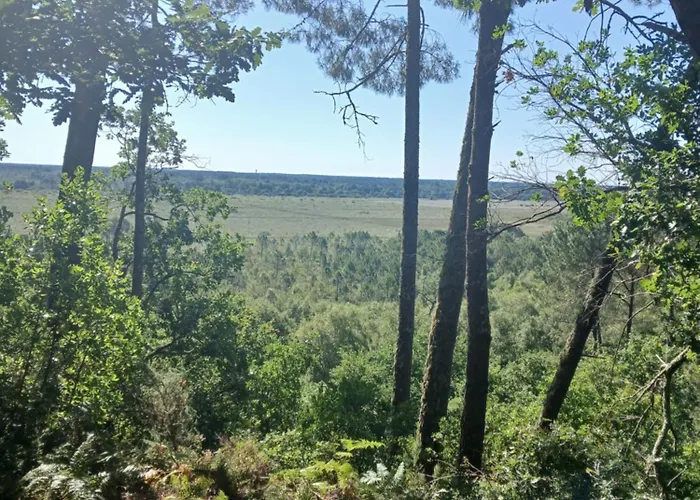 Julieregis بيسكاروس