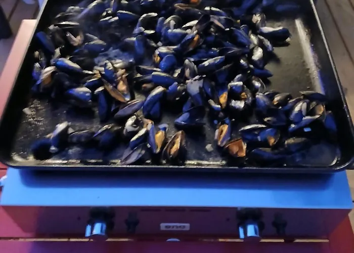 مكان تخييم Julieregis *