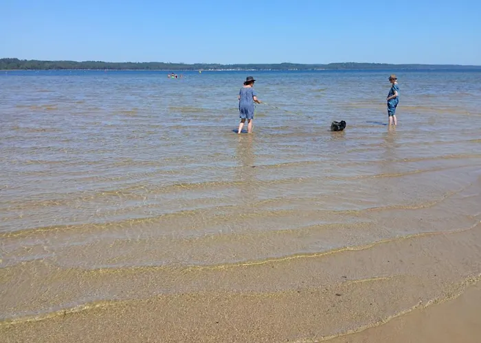 Julieregis مكان تخييم