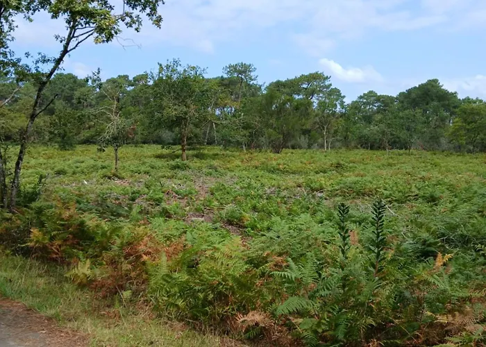 مكان تخييم Julieregis